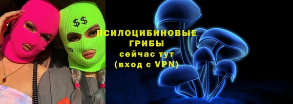мескалин Арсеньев