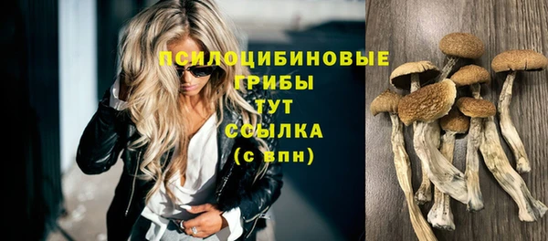 мескалин Арсеньев