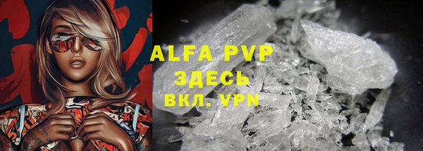стафф Аркадак