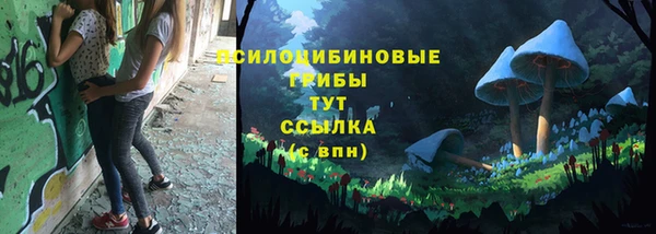 мескалин Арсеньев