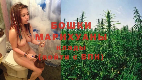 стафф Аркадак