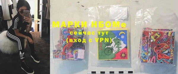 стафф Аркадак